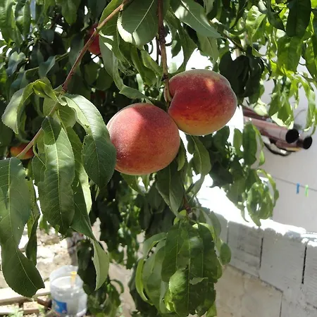 Hotel de apartamente Kuecuek Ev Pansiyon Karaburun (Izmir)